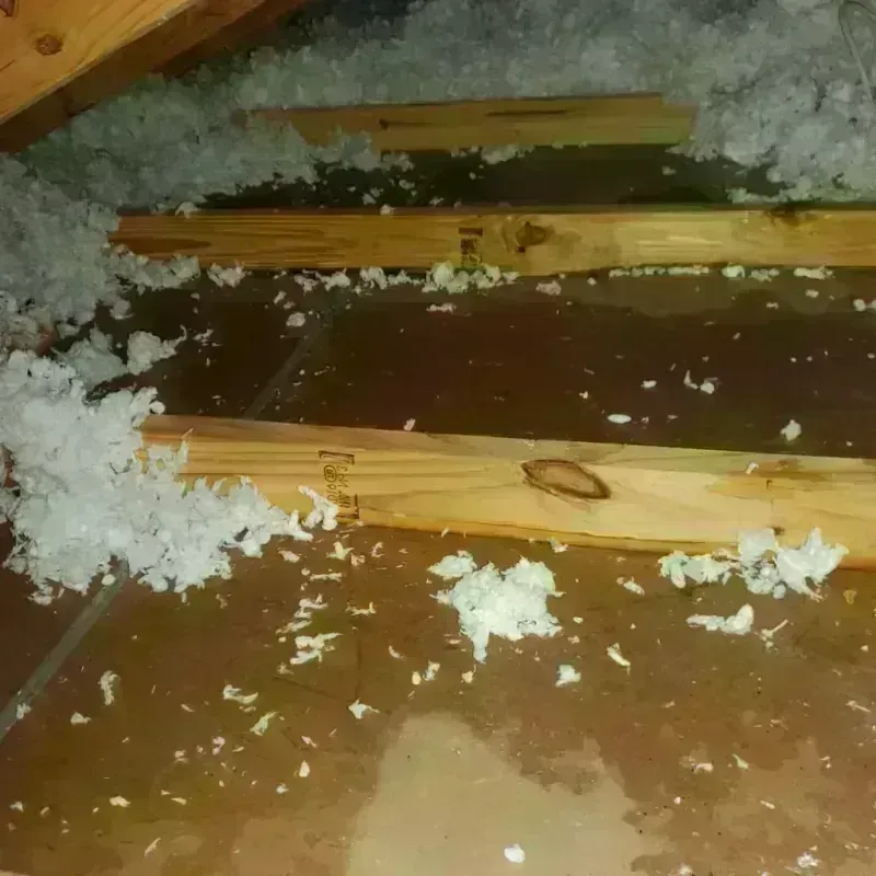 Attic Water Damage in Spring Hill, KS